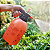 PULVERIZADOR COMPRESSAO  2L ATOPY - Imagem 5