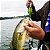 Isca Artificial Crank Fundo 6cm Matadeira - Imagem 4