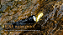 Sofirn if22a 2100lm lanterna 21700 luz poderosa sft40 led 629m de longo alcance - Imagem 16