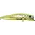 Isca Artificial Brava 9cm Cor 32 Marine Sports - Imagem 2