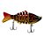 Isca Artificial Lambari Articulado Ligeira 10cm 15g Xingu - Imagem 4