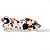 Isca Artificial Frog Monster Popper - Matadeira - Imagem 5