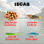 Kit Pesca Completo Maleta Iscas Anzol Chumbada E Alicate - Imagem 4
