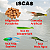 Kit De Pesca Com Iscas Maleta E Acessorios Completo e Pronto Para Uso - Imagem 4