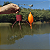 Boia Paulistinha Inteligente Carambola - Imagem 2