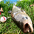 Boia Paulistinha Chumbo Chocalho - Imagem 9