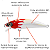 Isca Artificial Inna Pro Tuned 7cm - Marine - Imagem 3