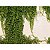 Papel de Parede The Wall 2 - Folhas e Flores - AS392271 - Vinílico - Imagem 1