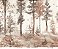 Papel de Parede Painel Fofura - Infantil - PF232 - Vinílico - Imagem 1