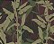 Papel de Parede Bio-Habitat - Folhas e Flores - 101020 - Vinílico - Imagem 1