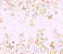 Papel de Parede Memórias de Infância - Folhas e Flores - 201032 - Vinílico - Imagem 1