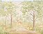 Papel de Parede Natureza Lúdica - Infantil - 83882 - Vinílico - Imagem 1