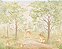 Papel de Parede Natureza Lúdica - Infantil - 83899 - Vinílico - Imagem 1
