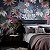 Papel de Parede Capri 1838 - Folhas e Flores - 190613101 - Vinílico - Imagem 1