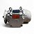 Motor Elétrico Trifásico 4P 480V 1/3CV EX W22XdB - WEG - Imagem 1