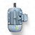 Motor Elétrico Trifásico 2P 440V 7.5cv 213/5T INVERTER - WEG - Imagem 3