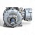 Motor Elétrico W22Xdb 50CV 6P WEG - 250S/M 440V IPW66 - Imagem 3