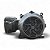 Motor Elétrico W22Xdb 50CV 6P WEG - 250S/M 440V IPW66 - Imagem 5