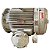 MOTOR ELETRICO P7245323-001 125V RPM 3570 - Imagem 4