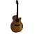 VIOLAO TAKAMINE TSF48C CTP2 ELETROACUSTICO C/CASE NATURAL - Imagem 2