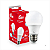 Lâmpada Led E-27 BULBO 6K 6500K BIVOLT 9,0 W REF 10058 KIAN - Imagem 2