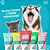 Creme Dental Pet Clean para Cães e Gatos Sabor Menta 60g - Imagem 2