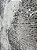Tapete Goreme D:04 - Imagem 6