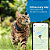 Rastreador GPS Tractive para gatos - Imagem 6
