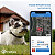 Rastreador GPS Tractive para cães - Imagem 4