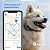 Rastreador GPS Tractive para cães - Imagem 2