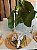 Jogo Americano Brasil Nature Folha (unidade) - Imagem 3