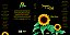 SEGUIR O SOL - Imagem 1