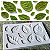 MOLDE FORMA SILICONE FOLHAS 9X6CM CONFEITARIA CHOCOLATE - Imagem 8