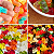 Molde Silicone 50 Ursinhos Ursos Goma Gelatina Bala Gummy - Imagem 8