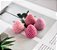 Molde Silicone Morango Fruta Tropical Fondant Biscuit Bolo - Imagem 3