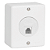 TOMADA REDE RJ45 CAT5E BOX ILUMII - Imagem 1