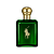 Polo Green Ralph Lauren - Eau de Toilette - Imagem 1