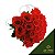 Flores Artificiais para Alugar - Imagem 3