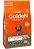 Golden Cães Filhotes Porte Pequeno 10,1Kg Sabor Frango e Arroz - Imagem 1