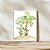 Kit 3 Quadros Dinossauros Personalizado com Nome - Imagem 3