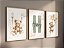 Kit 3 Quadros Ursinhos Balão Nuvem Personalizado com Nome Quarto Bebê - Imagem 2