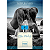 Blue Melody Paris Elysees Eau De Toilette 100ml - Perfume Feminino - Imagem 3