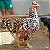 Ovos de Galinha Sertaneja Balão Gigantes - 12 Ovos + 3 de Brinde - Imagem 7