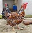 Ovos de Galinha Sertaneja Balão Gigantes - 12 Ovos + 3 de Brinde - Imagem 8