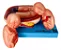 Gravidez, com 8 Fases - Imagem 3
