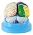 Cérebro com regiões Neuro-Funcionais, em 8 Partes - Imagem 6