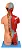 Torso Luxo 85 cm, Bissexual, com Coluna Exposta, em 32 partes - Imagem 7