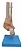 Articulação do Pé com Ligamentos - Imagem 6