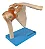 Articulação do Ombro com Ligamentos - Imagem 3