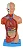 Torso de 28cm, Assexuado, em 15 Partes - Imagem 1